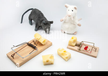 mice and rat-traps with cheese on white background Stock Photo