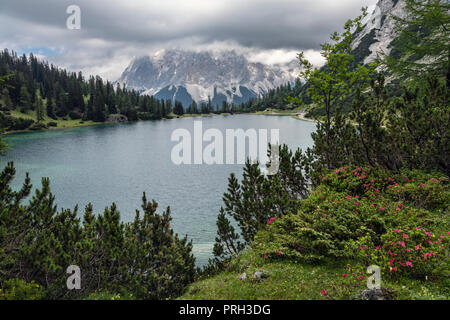View across Seebensee towards the Zugspitze Mountain, Tyrol, Austria Stock Photo