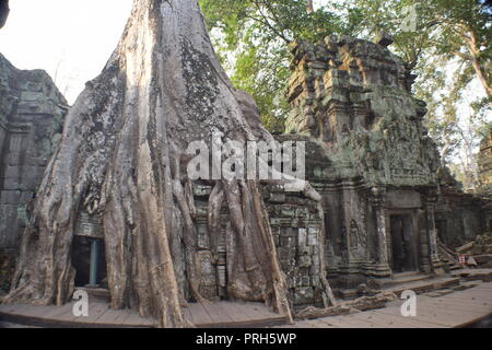 Angkor Wat Stock Photo