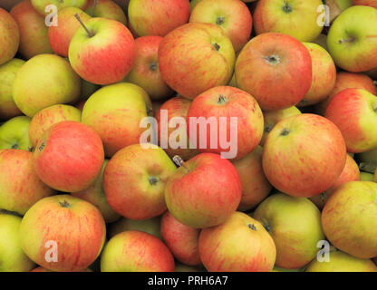 Apple, apples, 'Lynns Pippin', malus domestica, farm shop, display,edible, fruit Stock Photo