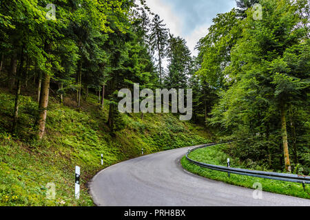 Tarred road winding through lush green countryside with spring forest in an alpine valley in a travel and tourism concept Stock Photo