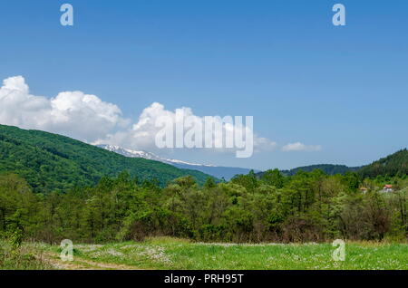 Springtime green forest, glade and valley among Lozen mountain, Plana mountain and snowy Vitosha mountain near to Pasarel village, Bulgaria Stock Photo
