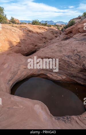 Water collected in pools along a stream bottom. Petrified Sand Dunes, Arches National Park, Utah Stock Photo