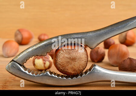 Hazelnut in nutcrackerin foreground and some hazelnuts in background on wooden table surface Stock Photo