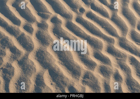 Wind formed ripple pattern in the sand at Devil's Cornfield, Mesquite Sand Dunes, Stovepipe Wells, Death Valley National Park, California Stock Photo