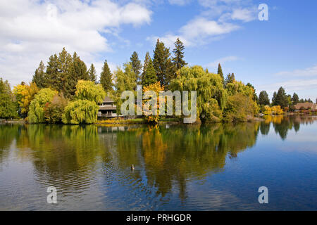 Weeping Willows and maple trees line the banks of the Deschutes River in Drake Park, downtown Bend, oregon. Stock Photo