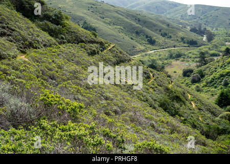 Hiking Heather Cutoff, Bay Area Ridge Trail Stock Photo