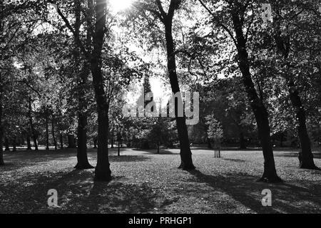 Beautiful, naturally lit black and white photographs of Ropner Park, a traditional Victorian public park in Stockton-on-Tees, UK at the start of Autumn. Stock Photo