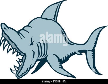 shark cartoon character. Vector Illustration. Stock Vector