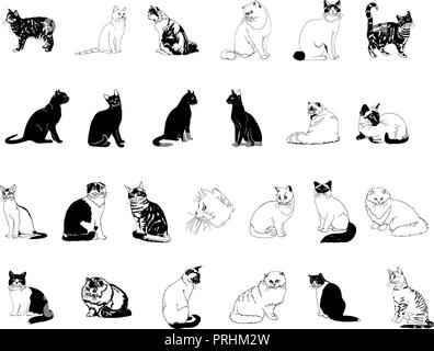 cat collection clipart Stock Vector
