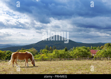 pastviny u Vysoké Lípy, Jetřichovice, národni park České Švýcarsko, Česká republika / pasturages and meadows near Vysoka Lipa, Jetrichovice region, Cz Stock Photo