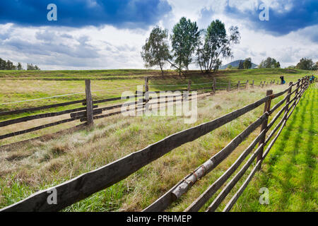 pastviny u Vysoké Lípy, Jetřichovice, národni park České Švýcarsko, Česká republika / pasturages and meadows near Vysoka Lipa, Jetrichovice region, Cz Stock Photo