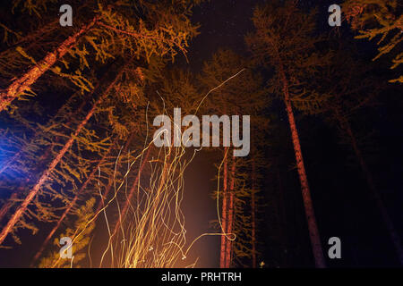Sparks from a bonfire night in the woods flying in the sky. Fire in the woods under a starry sky, the trees illuminated by the light from the fire, th Stock Photo