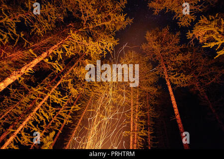 Sparks from a bonfire night in the woods flying in the sky. Fire in the woods under a starry sky, the trees illuminated by the light from the fire, th Stock Photo