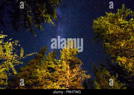 Night sky in the mountains. Milky way. Millions of stars overhead. Journey through the Altai mountains Stock Photo