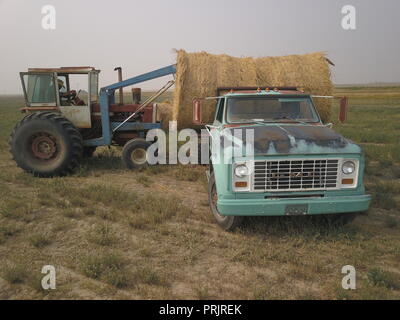 Loading Hay, Saskatchewan, Canada, Palliser Triangle, Brian Martin RMSF Stock Photo