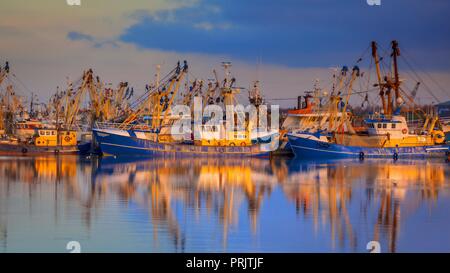 Fishery at Lauwersoog which hosts one of the biggest fishing fleets in the Netherlands. The fishery concentrates mainly on the catch of mussels, oyste Stock Photo