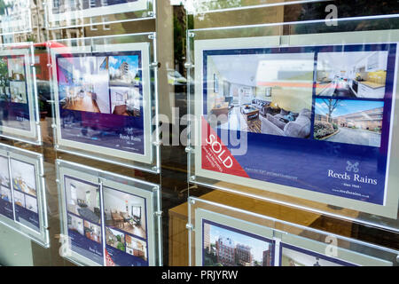 London England,UK,Lambeth North,Kennington Road,Reeds Rains,real estate office,flats apartments for sale,sold,window display,UK GB English Europe,UK18 Stock Photo