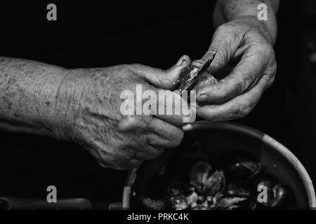 Hands of an elder woman holding a pot with chestnuts and peeling them with a knife, black and whte low key Stock Photo