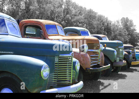 Colorful antique trucks in a row Stock Photo