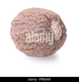 spices nutmeg closeup on white isolated background Stock Photo