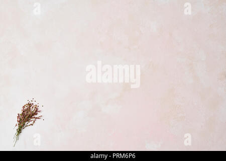 Wild flowers on rose and white texture pattern background with high resolution. Copy space. Stock Photo