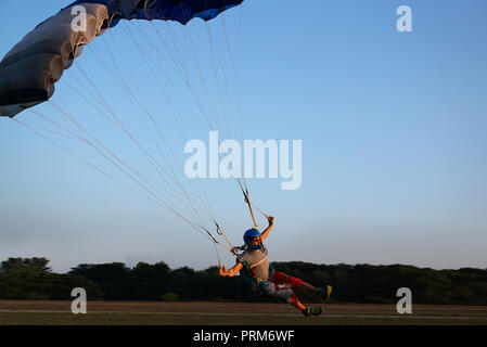 Skydiver under a dark blue little canopy of a parachute is landing on airfield, close-up. High-speed landing of a parachuter against the background of Stock Photo