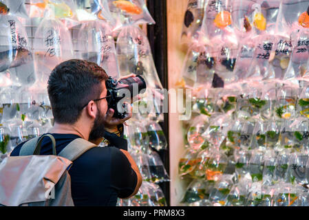 Traveler taking a photo at goldfish market in Hong Kong Stock Photo