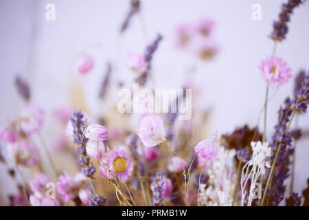 Pastel texture. Small pink and purple flowers.Abstraction. The dried flowers Stock Photo