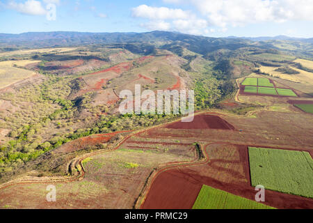 Coffee Plantations near Hanapepe seen from helicopter in Kauai, Hawaii. Stock Photo
