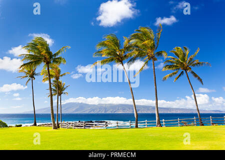 Palm trees along the rocky coastline at Napili Point in Maui, Hawaii with view to Molokai. Stock Photo
