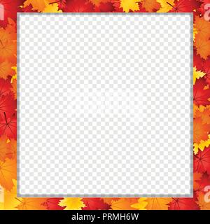 Vector square photo frame, border with fallen autumn leafage on transparent background with copy space for text. Abstract autumnal template with maple Stock Vector