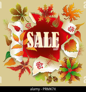 Autumn sale poster of discount promo web banner for autumnal seasonal shopping of maple leaf, rowan berry or oak acorn and mushroom. Stock Photo