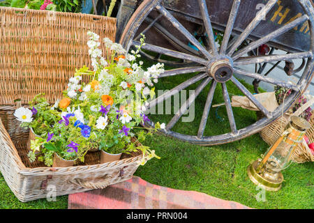 Potted plants in wicker basket beside cart wheel and oil lamp, Malvern Autumn Show Worcestershire UK. September 2018. Stock Photo