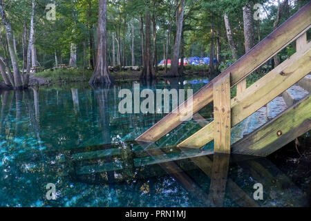 Profile of a wooden staircase coming down in the water od Ginnie Springs, Florida. Cypress forest in the lagoon Stock Photo