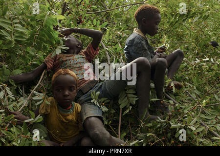 April 19, 2017 - Lake Eyasi, Ngorongoro district, Tanzania - In early morning hours Hadza boys go for a walk in the bush and look for berries.The Hadza are one of the last remaining societies, which remain in the world, that survive purely from hunting and gathering. Very little has changed in the way the Hadza live their lives. But it has become increasingly harder for them to pursue the Hadza way of life. Either the Hadza will find a way to secure their land-rights to have access to unpolluted water springs and wild animals, or the Hadzabe lifestyle will disappear, with the majority of them  Stock Photo