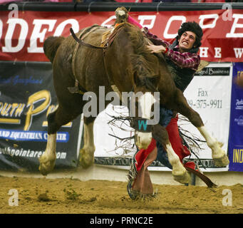 Wyoming, USA. 7th Nov, 2013. Bareback rider Catlin Clifford of Porcupine, S. Dakota, is thrown from his horse but can't get his tied-down hand loose during the Indian National Finals Rodeo at the South Point Equestrian Center. Credit: L.E. Baskow/ZUMA Wire/Alamy Live News Stock Photo