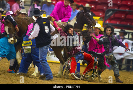 Wyoming, USA. 7th Nov, 2013. Many rodeo personnel swarm to the aide of bareback rider Catlin Clifford (center) of Porcupine, S. Dakota, who was being dragged about the arena by a horse he wasn't able to untie from during the Indian National Finals Rodeo at the South Point Equestrian Center. Credit: L.E. Baskow/ZUMA Wire/Alamy Live News Stock Photo