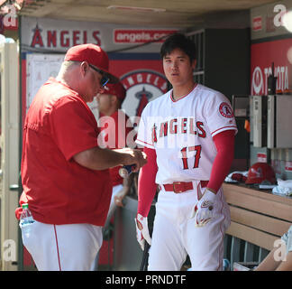 Team USA manager Mike Scioscia ready for Olympic challenge - The Japan Times
