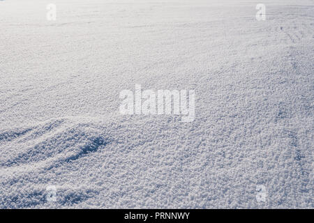 background of fresh snow texture in blue tone. snowdrift, snow drift freshly fallen snow Stock Photo