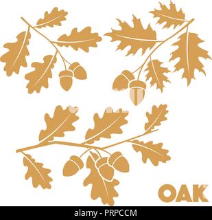 Oak branch set Stock Vector