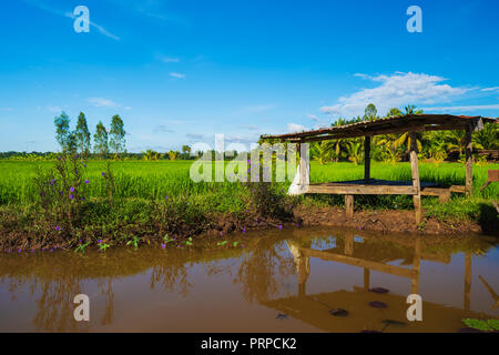 pond and wooden cottage in rice field at countryside Stock Photo
