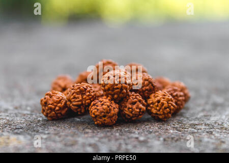 Rudraksh Beads Loose Stock Photo