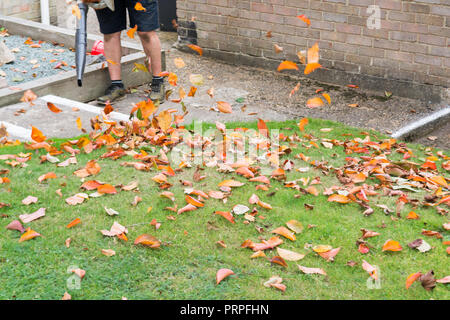 Man using a leaf blower to tidy a garden lawn Stock Photo
