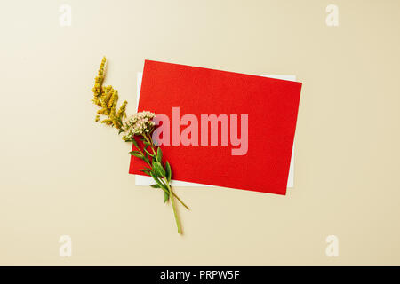 flat lay with arrangement of red and white blank cards and wildflowers on beige backdrop Stock Photo