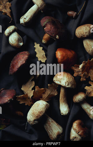 top view of various raw edible mushrooms and dry leaves on black fabric Stock Photo