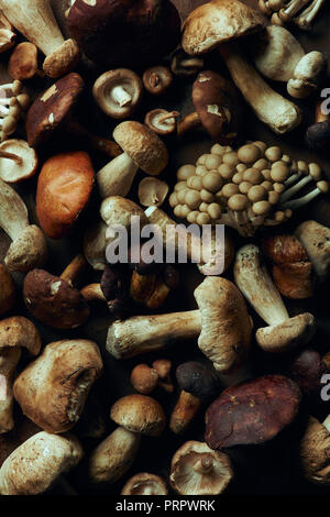 top view of assorted raw edible mushrooms, full frame background