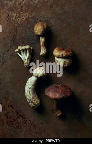 top view of assorted raw edible mushrooms on dark grunge surface