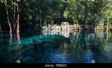 Wooden staircase going down in the turquoise water in a lagoon of Ginnie Springs. Cypress forest in Santa Fe river right side Stock Photo