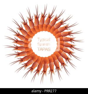 Circle of prawns. Typical Spanish tapa. Vector Illustration Stock Vector